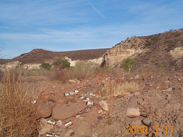 [saguaro over trash]