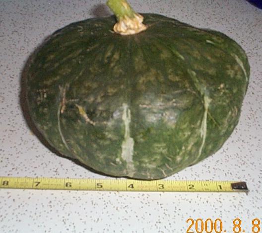 [squash]